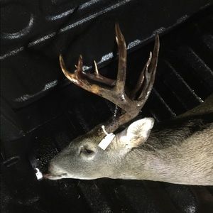 Meet your Posher, Donald